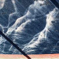 Grote Geelstaart - Vracht 7