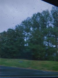 Caleb Glass - the birds are watching us (demo)