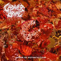 Cadaver Larvae - Spawn of Putrefaction