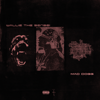 Wallie the Sensei - MAD DOGG: The Mixtape, Vol. 1