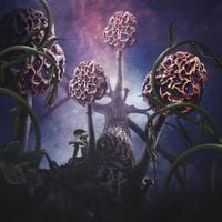 Blut aus Nord - Hallucinogen