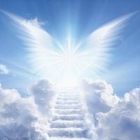 AngelMayCry - Lil Angel Rose