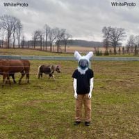 WhiteProto - WhiteProto