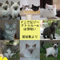 Gina True Legs - 猫屋敷より [From the Cat House]