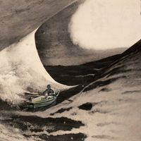 Julian Saunders - Two Geese