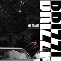 Brizzl - Mr. TR-808
