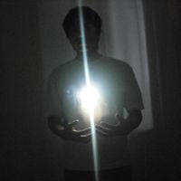 Flawed Mangoes - Dark
