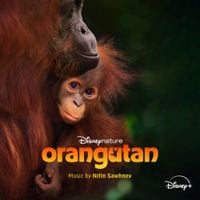 Nitin Sawhney - Orangutan