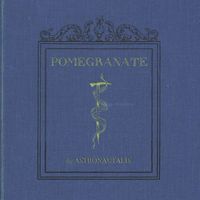 Astronautalis - Pomegranate
