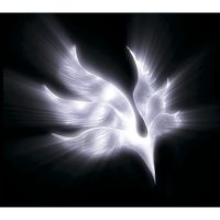 BUMP OF CHICKEN - orbital period