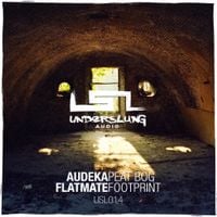 Audeka - Peat Bog / Footprint
