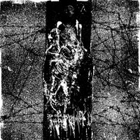 It's Cold Out... I Should Kill Myself - Teething at the Numb Parts of Your Body
