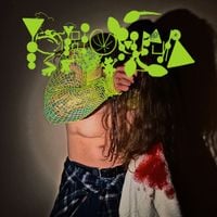 Phyllomedusa - The Cunt&rsquo;s In The Drain, Officer
