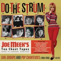 Various Artists - Do The Strum! Joe Meek&rsquo;s Girl Groups and Pop Chanteuses (1960-1966)
