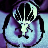 The Age Of Electric - Make A Pest A Pet