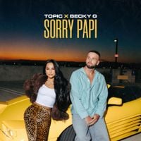 Topic - Sorry Papi