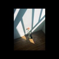 mechanical - Vivi Sonhos