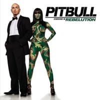 Pitbull - Pitbull Starring in Rebelution