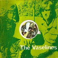 The Vaselines - Son of a Gun