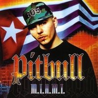 Pitbull - M.I.A.M.I.