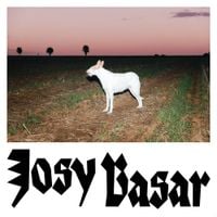 Josy Basar - Le Chien