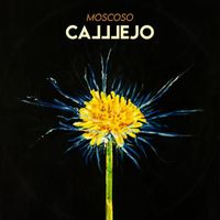 calllejo - Moscoso