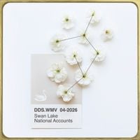 death's dynamic shroud - Swan Lake National Accounts