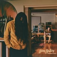 Liam Bailey - Shadow Town