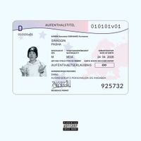 pashaswaggin - Darf Ich Bleiben 2