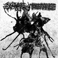 Sulfuric Cautery - Sulfuric Cautery / Tolerance