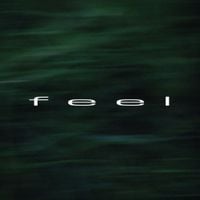 rei brown - feel