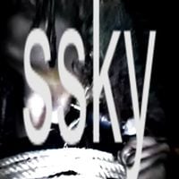 recko. - skyscraper