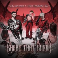 The Straikerz - Shake That Bunda