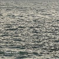Steve Kilbey - Whispers In The Static (2024 Reissue)