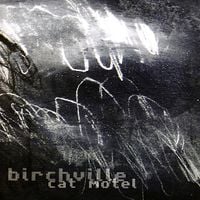 Birchville Cat Motel - Curved Surface Destroyer