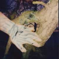 Gilroy - The Maze
