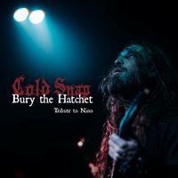 Cold Snap - Bury the Hatchet (Tribute to Nino)
