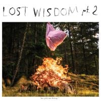 Mount Eerie & Julie Doiron - Lost Wisdom Pt. 2