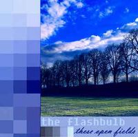 The Flashbulb - These Open Fields