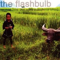 The Flashbulb - Resent and the April Sunshine Shed