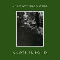 Not Drowning, Waving - Another Pond