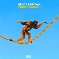 Black & Brown - Funky Kasbash