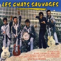Les Chats Sauvages - Les Chats Sauvages