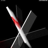 zero.reject - Letting Go