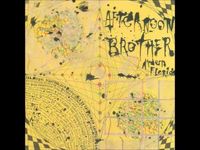 Afternoon Brother - Modern Florida