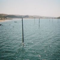 Soft Blue Shimmer - Nothing Happens Here