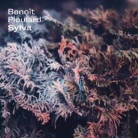 Beno&icirc;t Pioulard - Sylva
