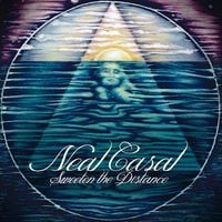 Neal Casal - Sweeten the Distance