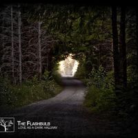 The Flashbulb - Love as a Dark Hallway