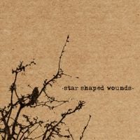 Treewell - Star Shaped Wounds...